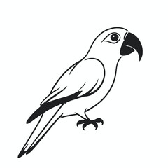 Fototapeta premium A black and white illustration of a parrot 