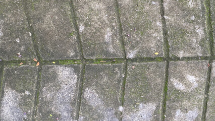 concrete wall abstract background texture cement grey gray backdrop old.