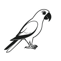 Fototapeta premium A black and white illustration of a parrot 