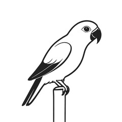 Fototapeta premium A black and white illustration of a parrot 