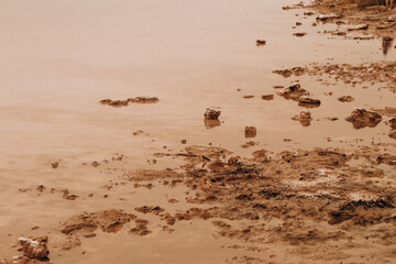   Stones lying on the shore of the lake