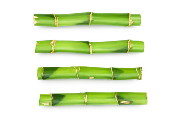 Fototapeta premium Green bamboo isolated on white background. Top view. Flat lay