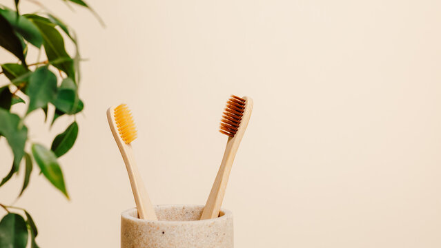 Bamboo toothbrushes in ceramic cup with green leaves and copy space on beige background. Eco friendly organic product, biodegradable and zero waste, minimal aesthetic concept