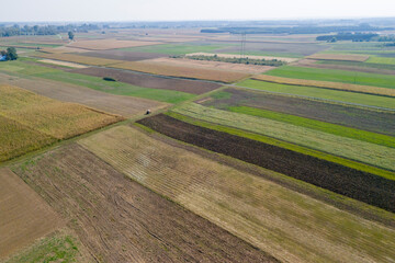 Aerial view of vibrant farmland showcasing contrasting colors of green and yellow crops, illustrating agricultural diversity and beauty