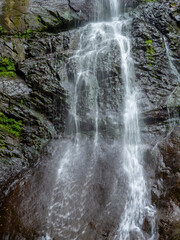 Fototapeta premium Waterfall in the mountains. Vertical flow of water. Nature of Georgia.
