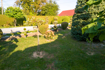 A beautifully landscaped garden showcasing various shrubs, trees, and a well-maintained lawn