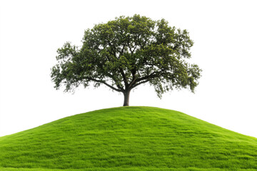 Fototapeta premium PNG cut out isolated background. A vibrant and lush tree stands proudly atop a small grassy hill, bathed in natural sunlight. 