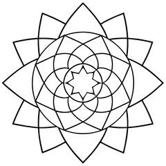 Fototapeta premium Spider on a white