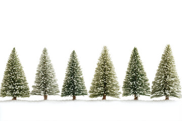 Obraz premium PNG cut out isolated background. A row of seven evergreen pine trees lightly covered in snow, standing tall against a pure white background. 
