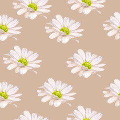 floral seamless pattern flowers chamomile petals watercolor illustration isolated on beige background base for card design textile tableware wedding invitations