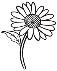 daisy flower