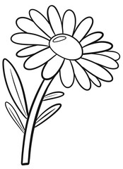 daisy flower