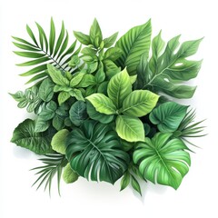 Fototapeta premium Lush Green Botanical Display with Various Leaves