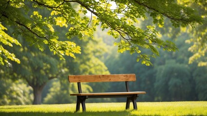 Naklejka premium A Wooden Bench in a Tranquil Summer Park.
