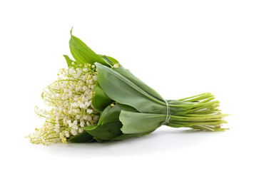 Obraz premium White beautiful lilies of the valley.