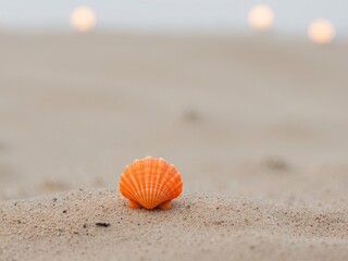 Obraz premium A tight shot of a tiny orange seashell on a gritty sand background with indistinctive lights in the distance.