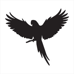 Humming bird vector icon on white background
