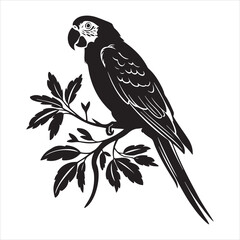 Lovebird Logo Stock Illustrations isolated on white background