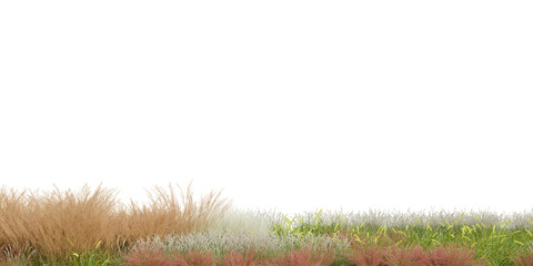 3D Rendering Grass and Plants PNG on Transparent Background	