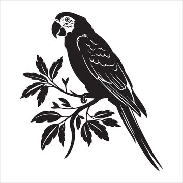 recommend clip art: Lovebird Logo Stock Illustrations isolated on white background