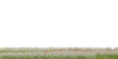 3D Rendering Grass and Plants PNG on Transparent Background	