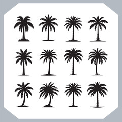 Logotype black simple palm tree vector silhouettes, Palm Trees Silhouette, Coconut Tree Silhouette on white background