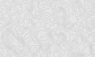 Vector topographic map background. Business concept. Abstract vector illustration.