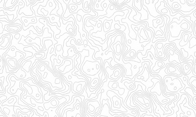 Vector topographic map background. Business concept. Abstract vector illustration.