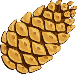 Pine cone, on transparent, png. Pine cone for decoration of Christmas and New Year banners, cards or nature backgrounds