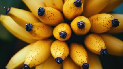 A close-up of vibrant yellow bananas, arranged in a bunch with their tips pointing upward