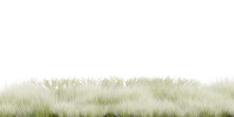 3D Rendering Grass and Plants PNG on Transparent Background