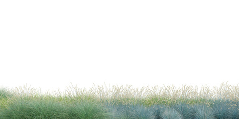 3D Rendering Grass and Plants PNG on Transparent Background