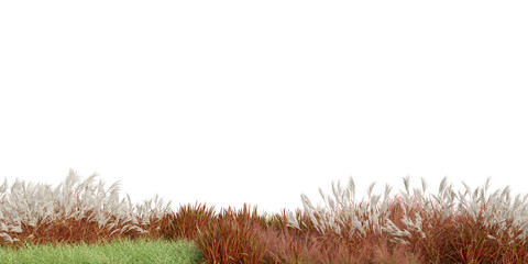 3D Rendering Grass and Plants PNG on Transparent Background