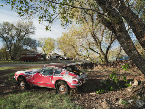 A junked red sports car under a large tree in the New Mexico ghost town of Folsom