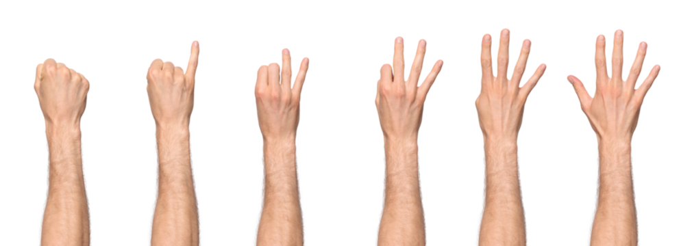 Man's hand counting from zero to five, starting with the pinky finger, with the back of the hand facing us. Isolated on a transparent background, PNG file