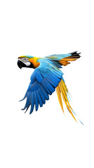 Fototapeta premium Blue-and-yellow Macaw Bird, Flying, on Transparent Background PNG, Wallpaper, Cover and Smartphone Screen, PC, Laptop, Graphic, Transparent PNG