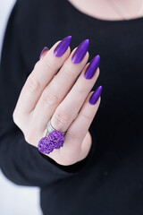 Female hands with long nails and dark purple manicure 