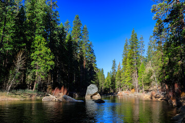 Sunny view of the river landscape in Yosemite National Park