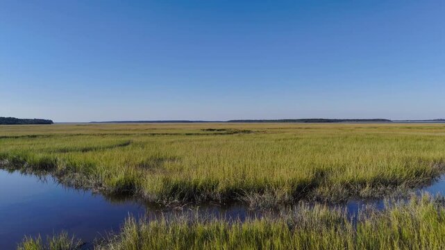 Low flying drone flight over marsh 4k 60fps