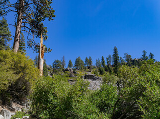 Sunny view of the landscape at Yosemite National Park