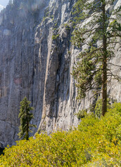 Sunny view of the landscape at Yosemite National Park