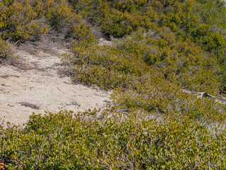 Sunny view of the landscape at Yosemite National Park