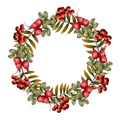 Round frame, wreath of red rosehip berries And rowan trees. Watercolor illustration on white background. typography printing, textiles 