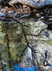 Sunny view of the river landscape in Yosemite National Park