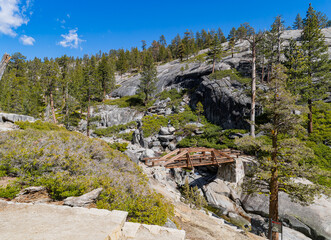 Sunny view of the landscape at Yosemite National Park
