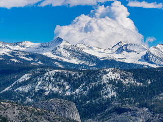 Obraz premium Sunny view of the landscape at Yosemite National Park