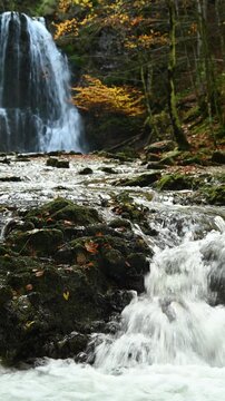 Vertical shot of cascading waterfalls with a colorful autumn tree, Josefsthaler Wasserf&auml;lle, Bavaria