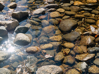 Sunny view of the river landscape in Yosemite National Park