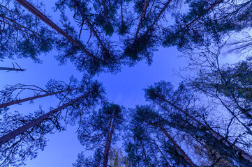 Obraz premium Autumn landscape from Finland with lake and trees
