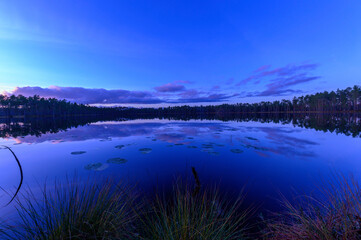 Autumn landscape from Finland with lake and trees